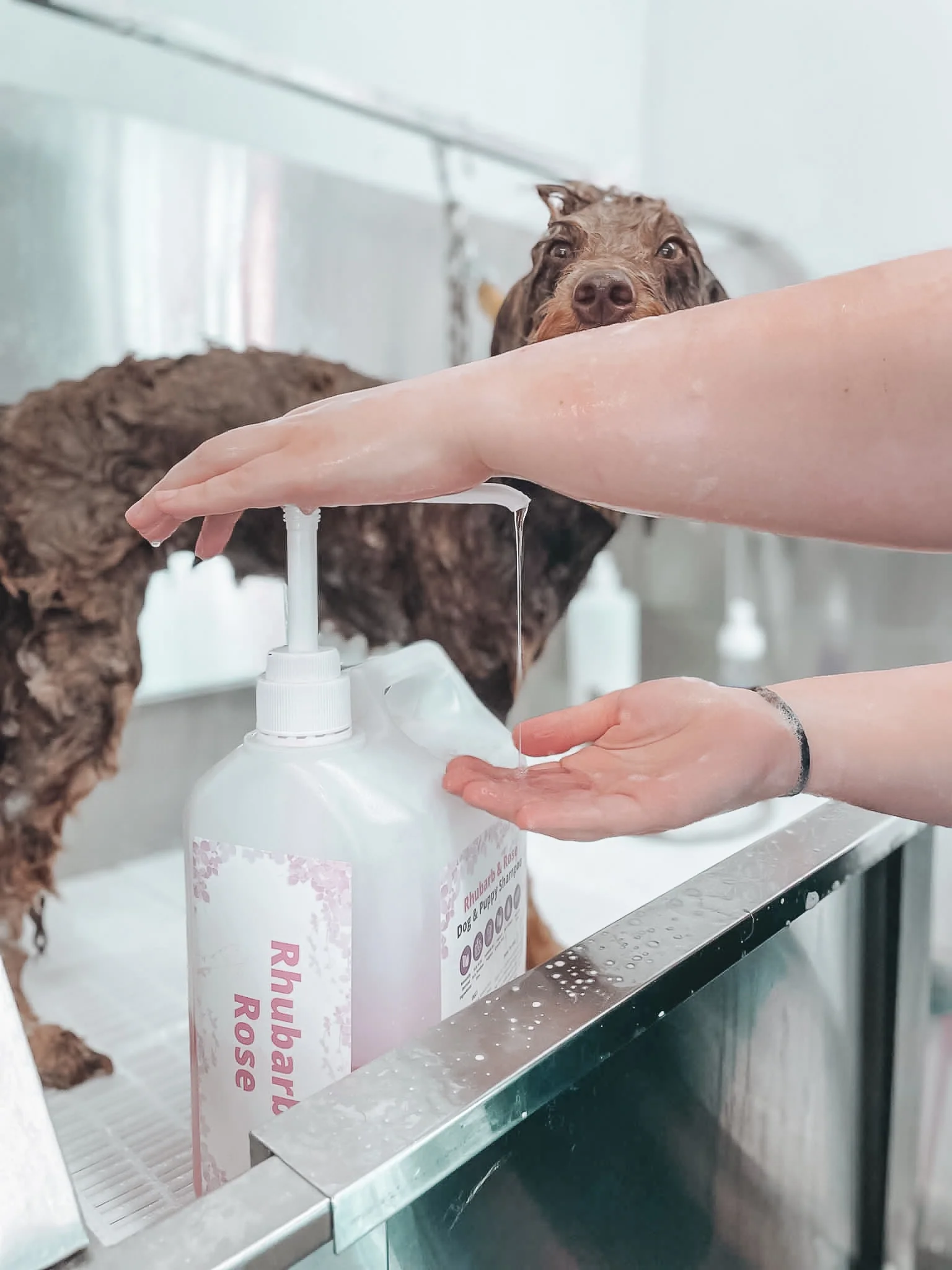 Pamper Your Pup Naturally